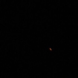 Meet your Posher, Elsa